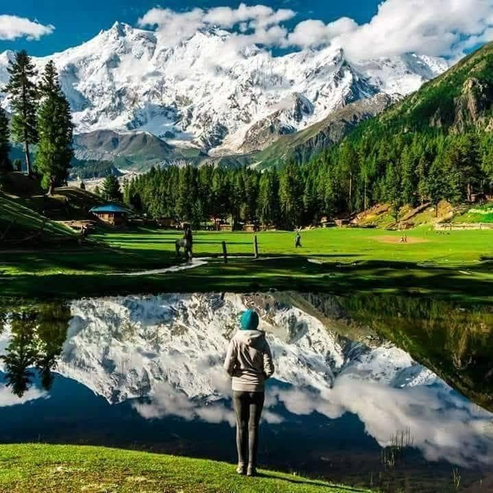 Nanga Parbat reflected in a lake at Fairy Meadows